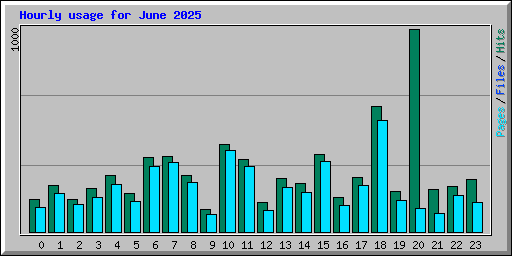 Hourly usage for June 2025